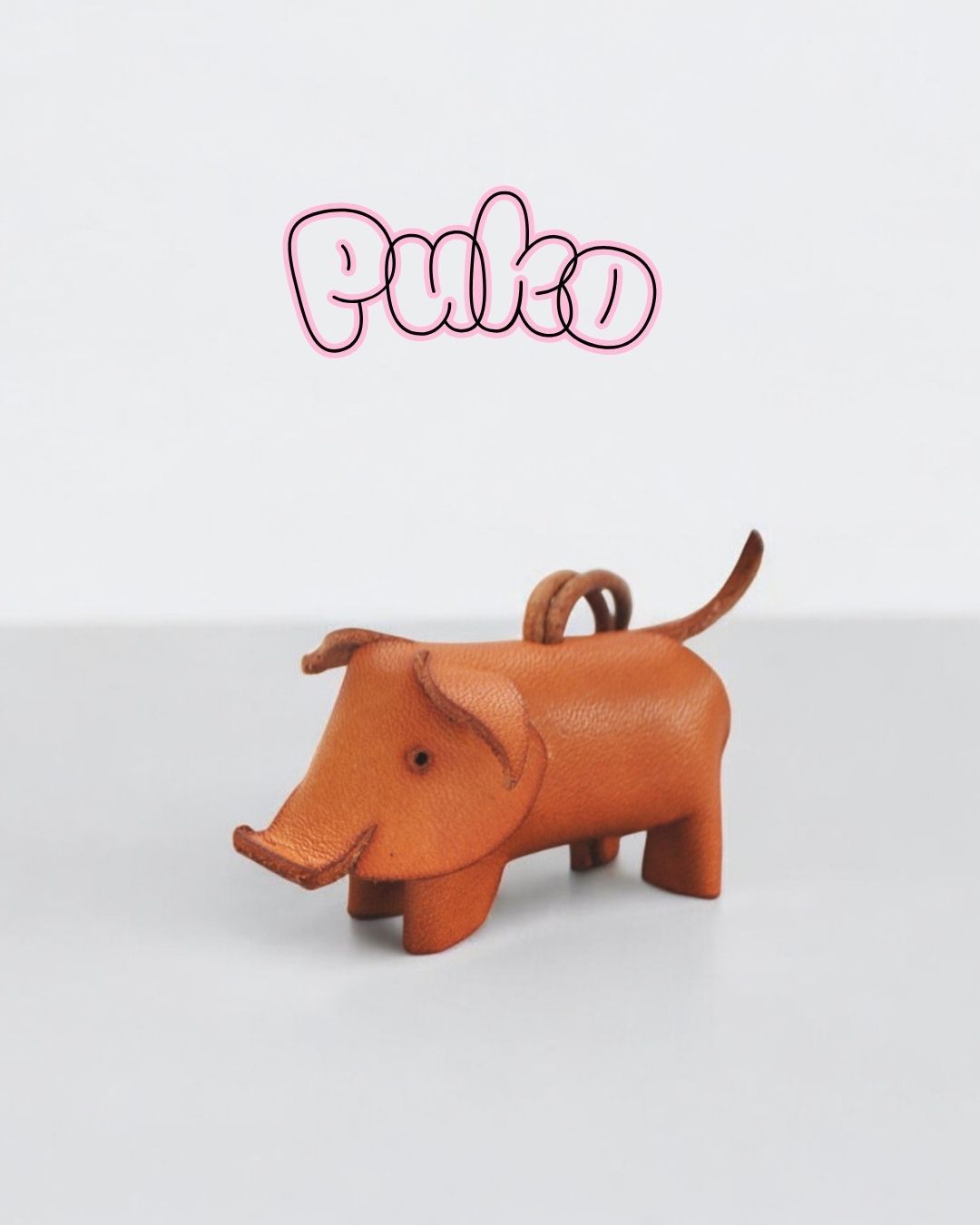 PUKO the small pig