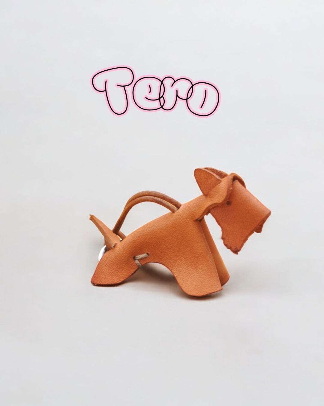 TERO the terrier