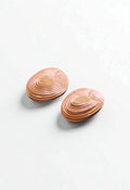 Antares earrings