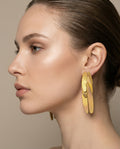 Ailes earrings