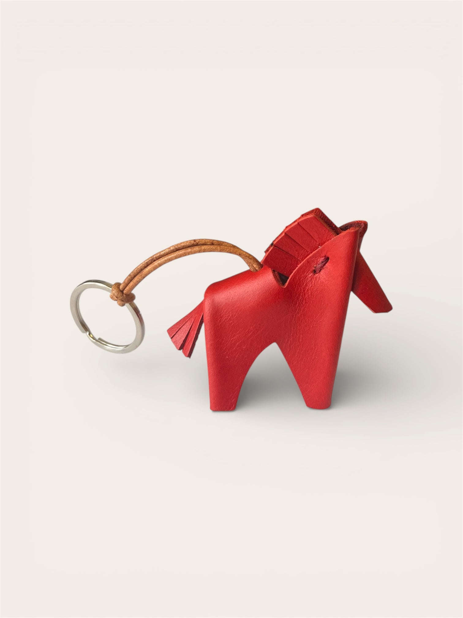 RAYO the horse