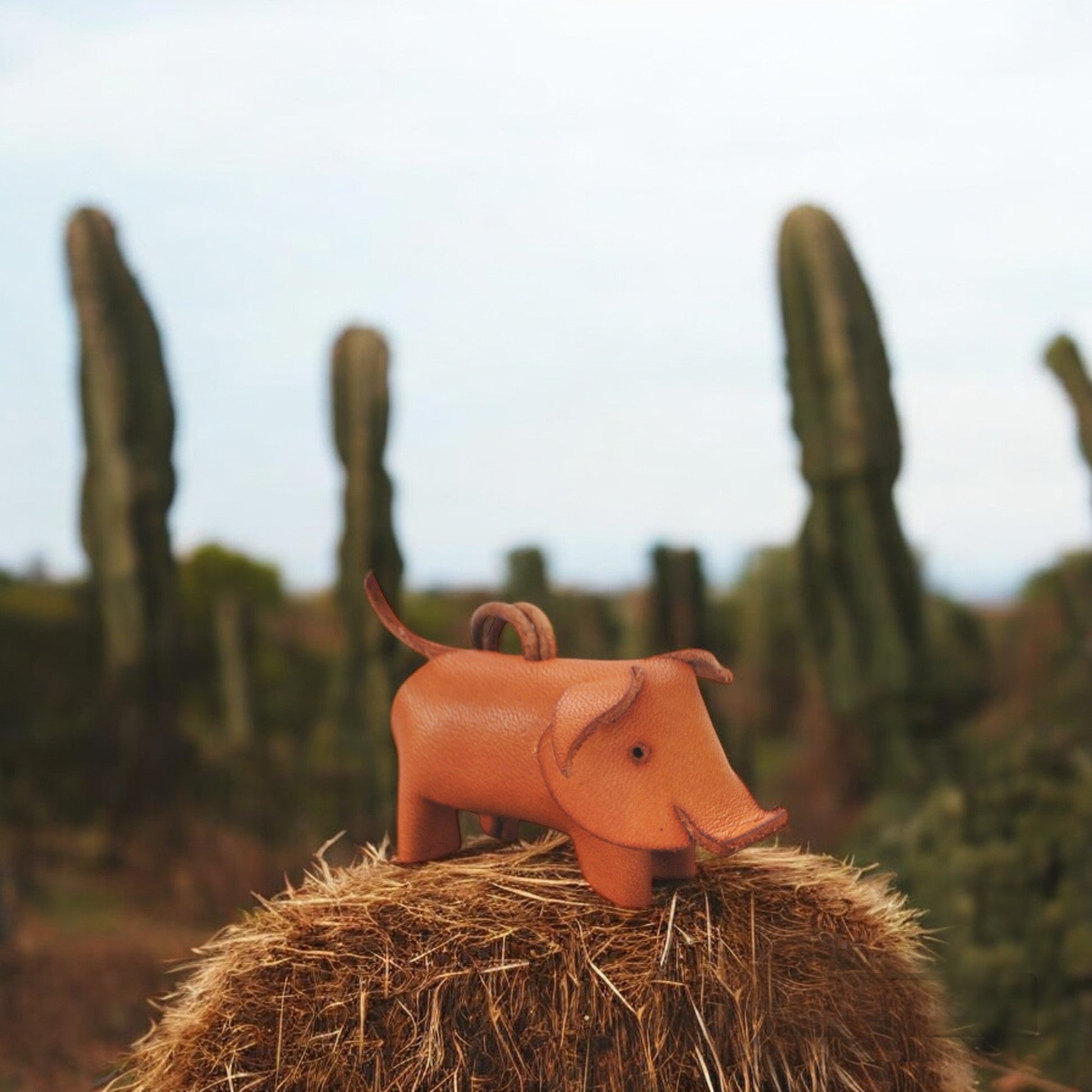 PUKO the small pig